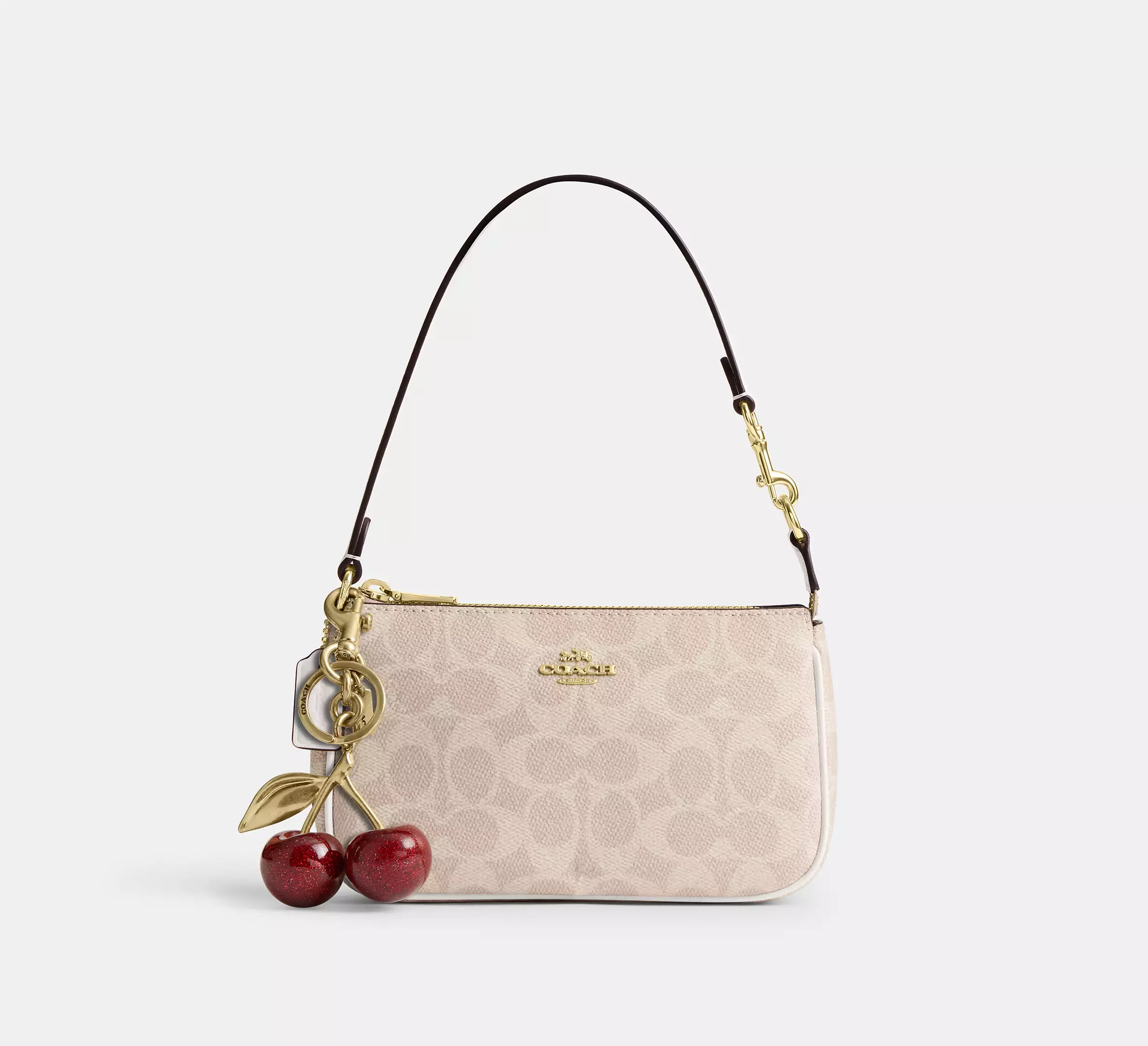 Coach Nolita 19 En Toile Signature